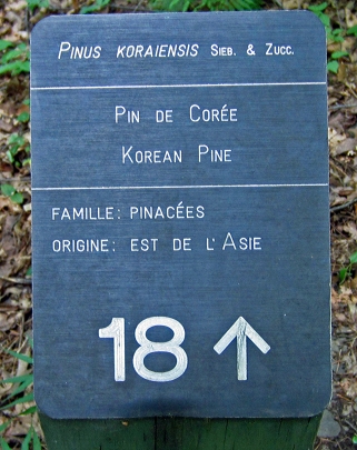plaque 18.a